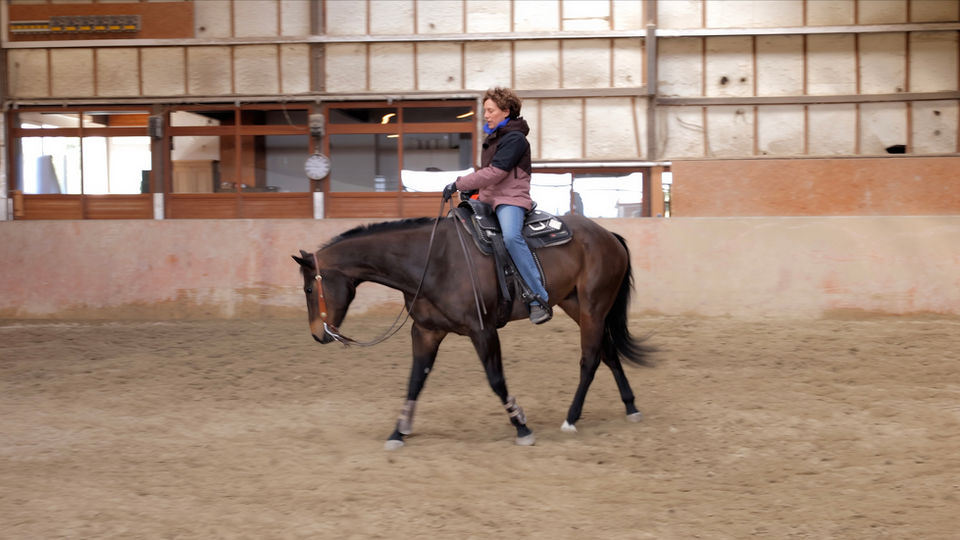 Einhändig lenken und stellen